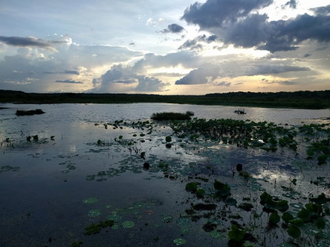 Fogg Dam Conservation Reserve - Accommodation NT 1