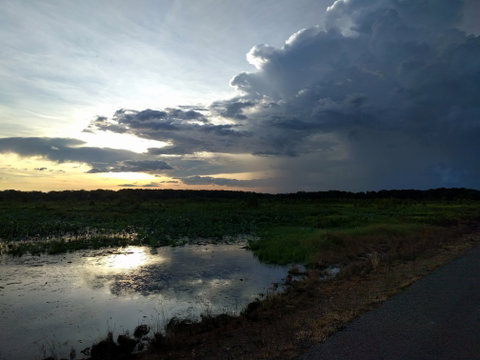 Fogg Dam Conservation Reserve - Accommodation NT 2