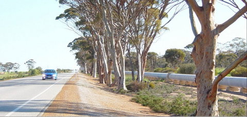 Golden Pipeline Heritage Trail - Accommodation NT 0