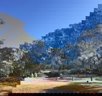 Grenfell Endemic Garden - Accommodation NT