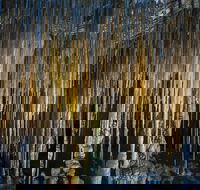 Hastings Caves and Thermal Springs - NT Tourism