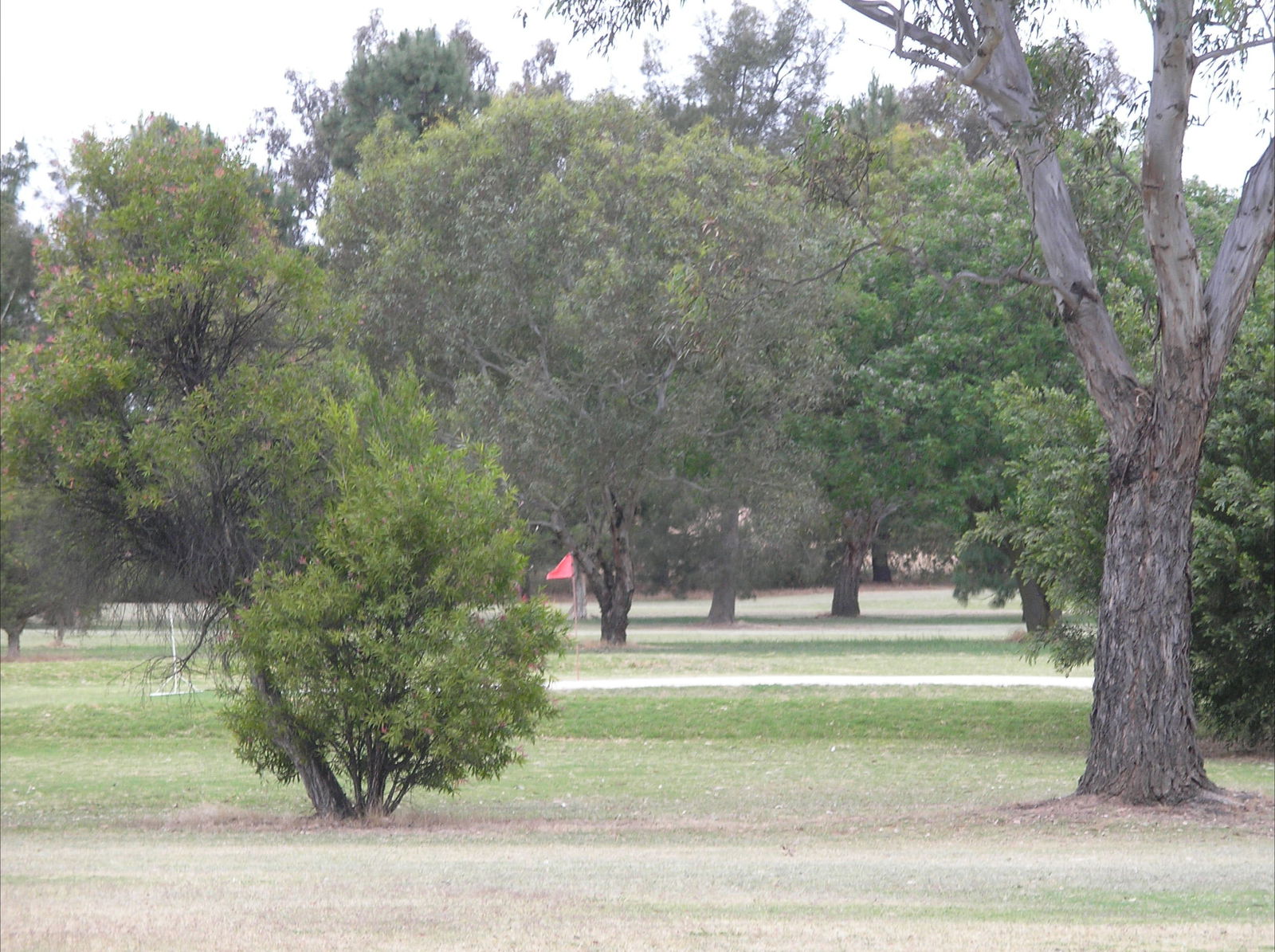 Mullengandra NSW NT Tourism