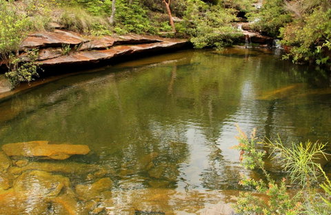 Hominy Creek Walking Track - Accommodation NT 0