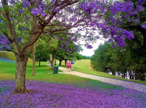 Howe Park - Accommodation NT 0