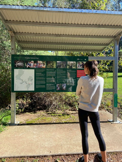 Jehosaphat Gully Picnic Area - Accommodation NT 0