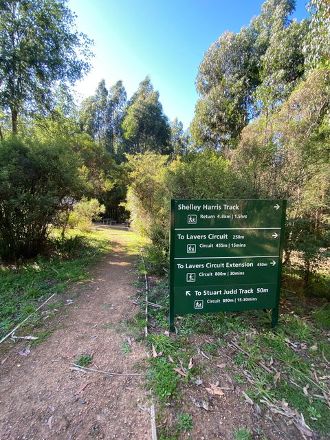 Jehosaphat Gully Picnic Area - Accommodation NT 2