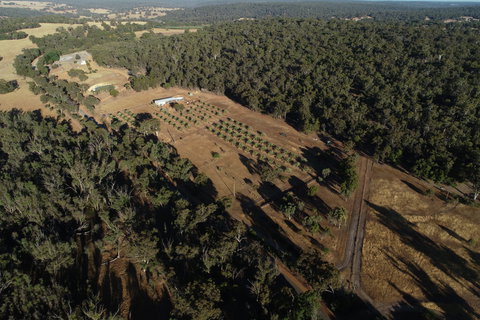 Julimar Date Garden - Accommodation NT 0