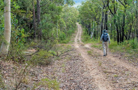 Kangaroo River Walking Track - Accommodation NT 0