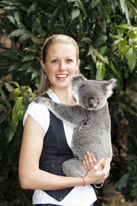 Lone Pine Koala Sanctuary - Accommodation NT 1