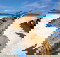 Lucky Bay - Accommodation NT