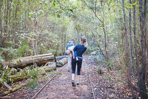 Lyrebird Circuit Walk - Accommodation NT 1