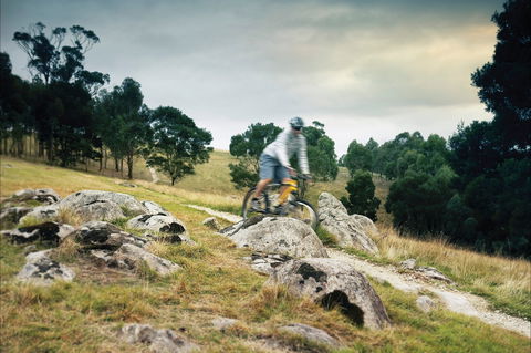 Lysterfield Park - Accommodation NT 1