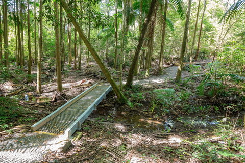 Old Bottlebutt - Accommodation NT 0