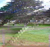 Old Cemetery Kingscote - Accommodation NT