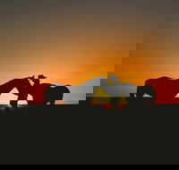 Outback Pony Rides Farm Experience - Accommodation NT