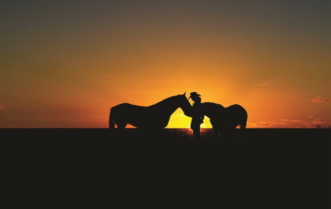 Outback Pony Rides Farm Experience - Accommodation NT 0