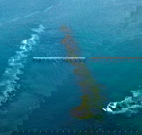 Port Noarlunga Reef Sanctuary Zone - Encounter Marine Park - Accommodation NT