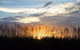Proserpine - thumb 1
