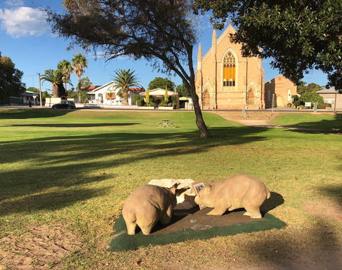 Queen Square, Moonta - Accommodation NT 0