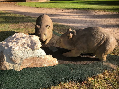 Queen Square, Moonta - Accommodation NT 1