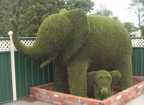 Railton: Town Of Topiary - Accommodation NT 0