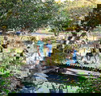 Rockhampton Botanic Gardens - Accommodation NT