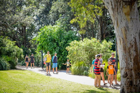 Round The Bay Walking Track: Huskisson To Vincentia - Accommodation NT 1