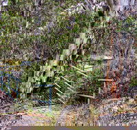 Sawpit Walking Track - Accommodation NT