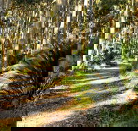 Square Head Track 2