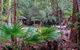 Sugar Creek Picnic Area - thumb 0