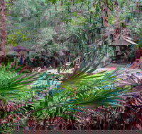 Sugar Creek Picnic Area - NT Tourism