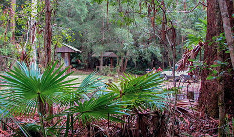 Sugar Creek Picnic Area - NT Tourism 0