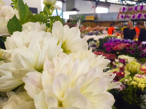 Sydney Flower Market - Accommodation NT 1