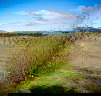 Tarago Truffles - NT Tourism