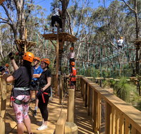 Trees Adventure - Yanchep Park - Accommodation NT