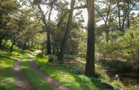 Turon National Park - Accommodation NT 0