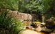Waitui Falls - thumb 1