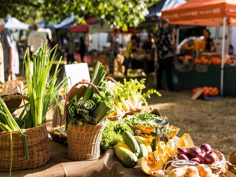 Warragul Farmers Market - Accommodation NT 1