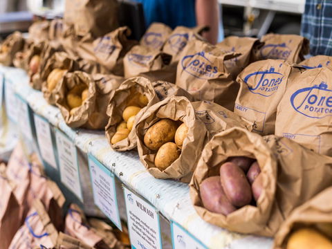 Warragul Farmers Market - Accommodation NT 2