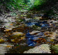 Willi Willi - Accommodation NT