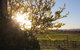 Wine Trail: Queanbeyan-Palerang - thumb 1
