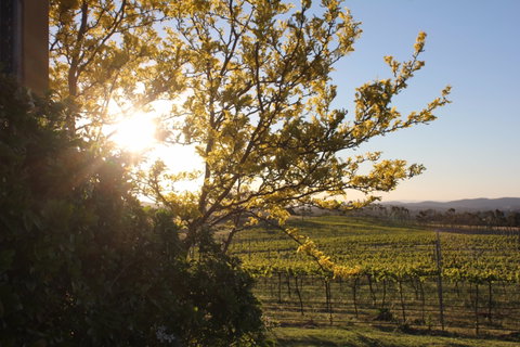 Wine Trail: Queanbeyan-Palerang - Accommodation NT 1