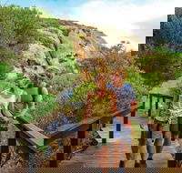 Woody Island Nature Reserve - Accommodation NT
