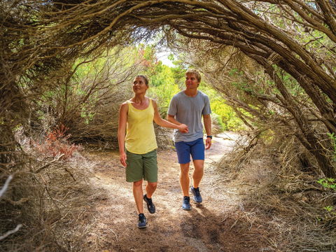 Woody Island Nature Reserve - Accommodation NT 1