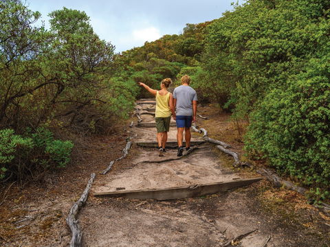 Woody Island Nature Reserve - Accommodation NT 2