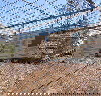 Aboriginal Carvings - Accommodation NT