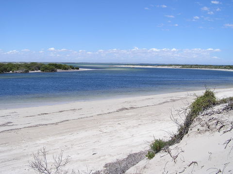 Acraman Creek Conservation Park - Accommodation NT 0