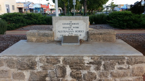 Barmera Horse Trough - Accommodation NT 0
