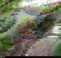 Black Dragon Gardens Wulong Yuan - Accommodation NT