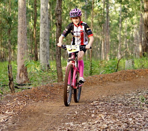 Bom Bom State Forest Mountain Bike Trails - Accommodation NT 0